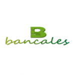 CONSULTORÍA AMBIENTAL BANCALES